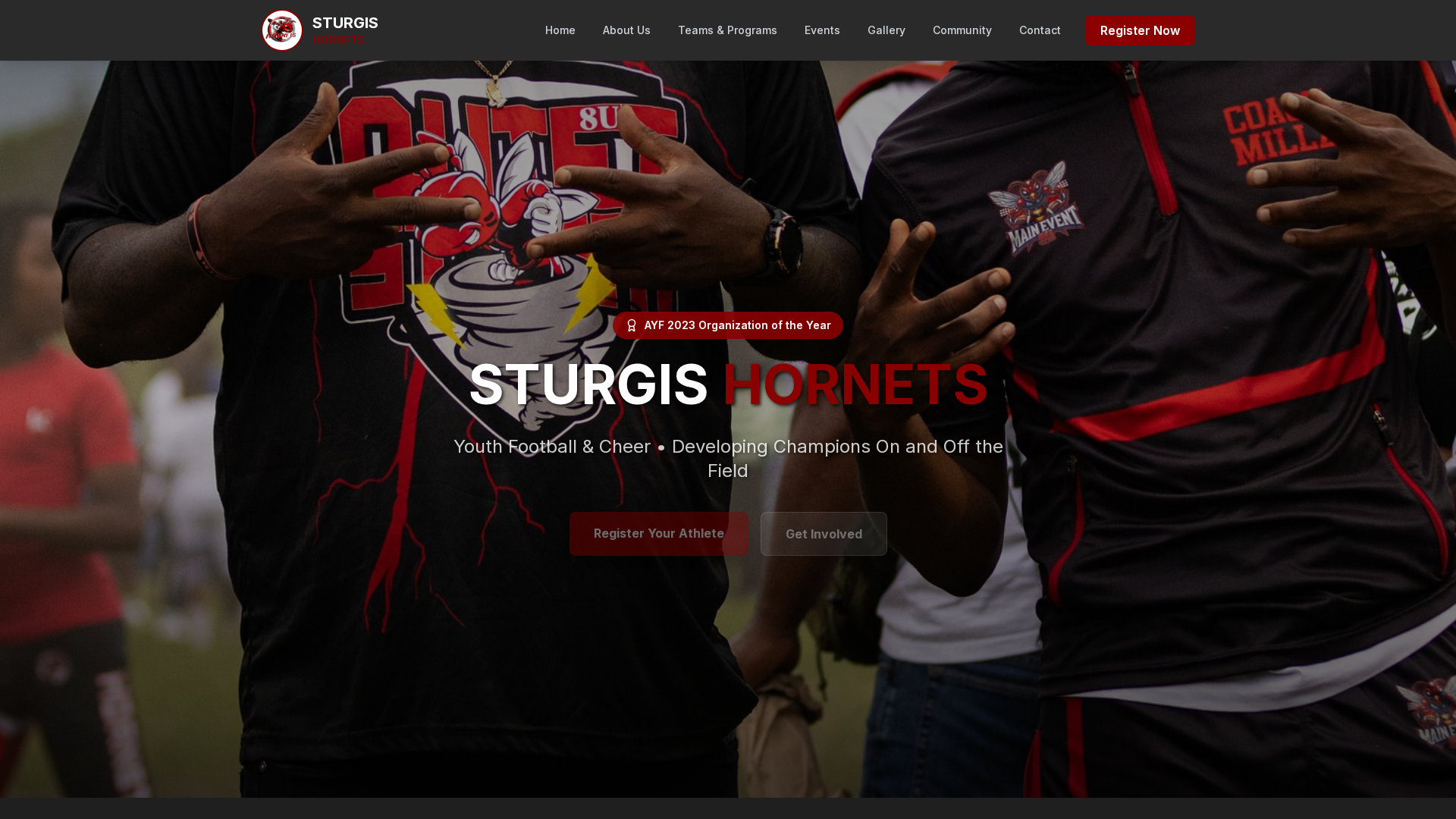 Hornets Youth Sports